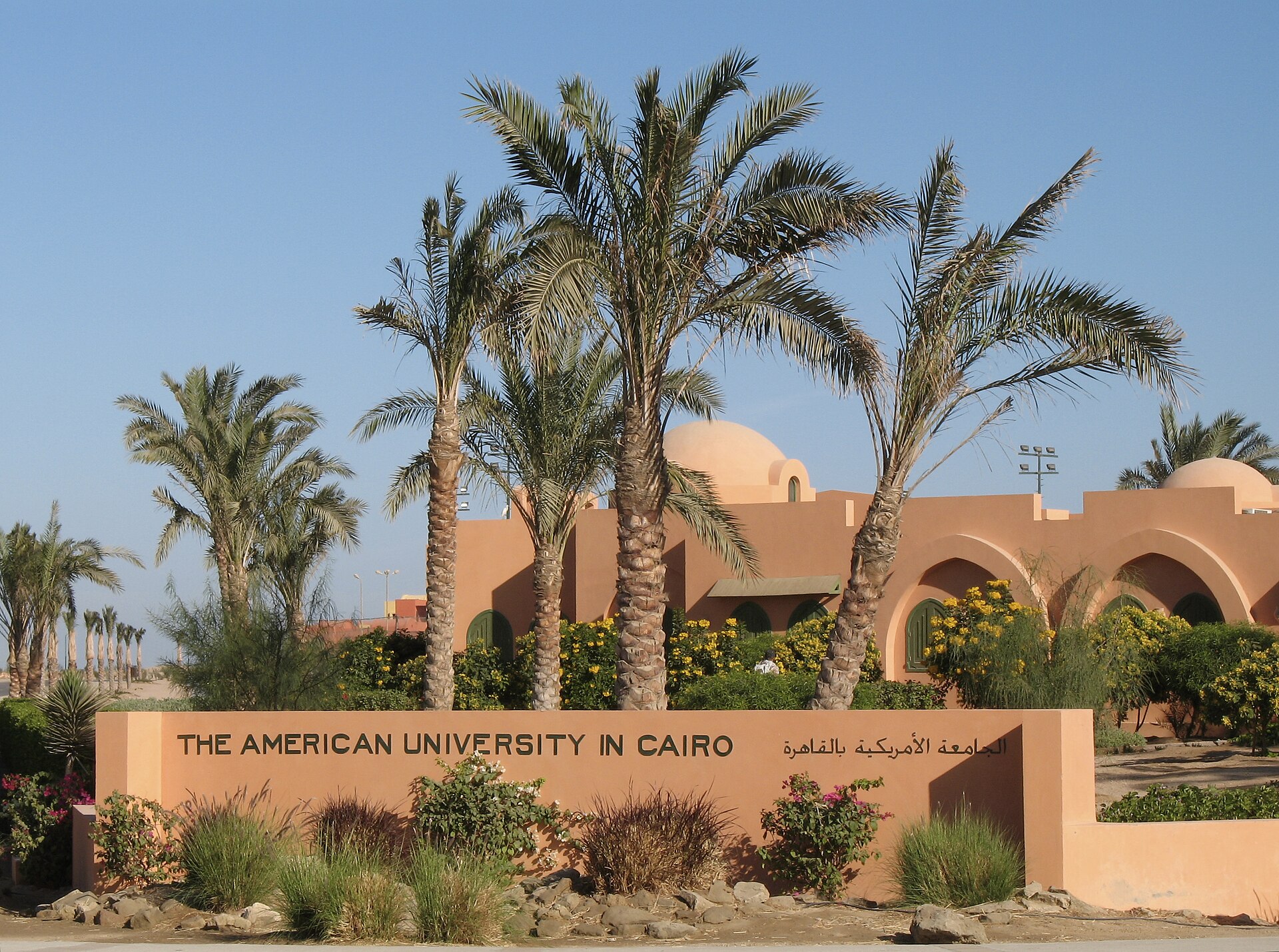 El Gouna Excursions