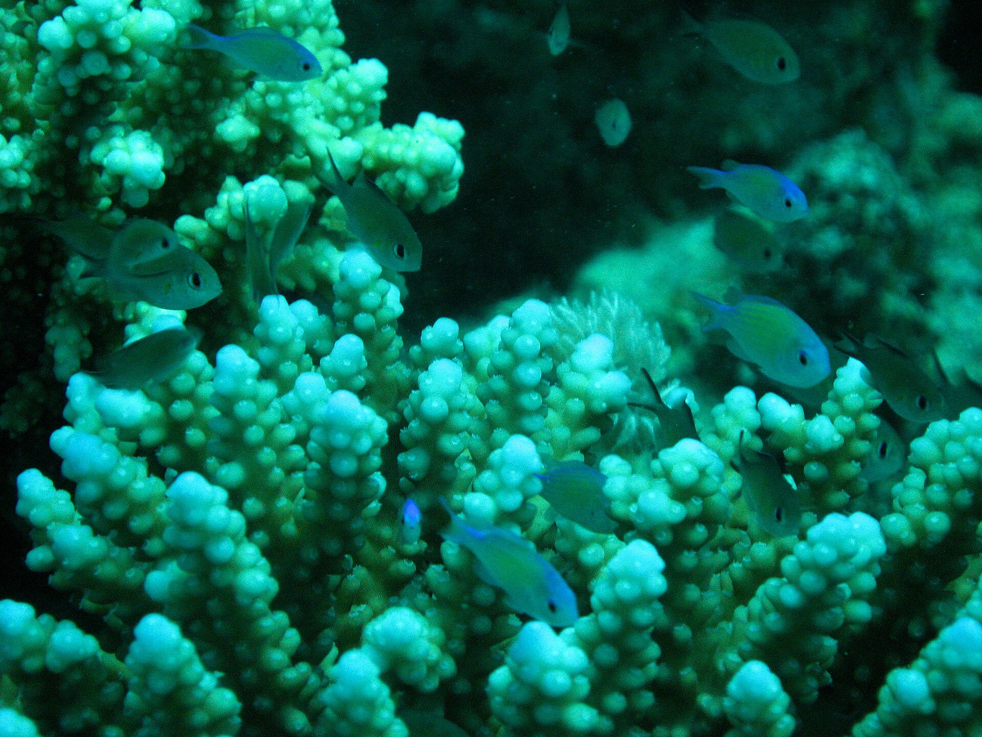 Marsa alam Excursions