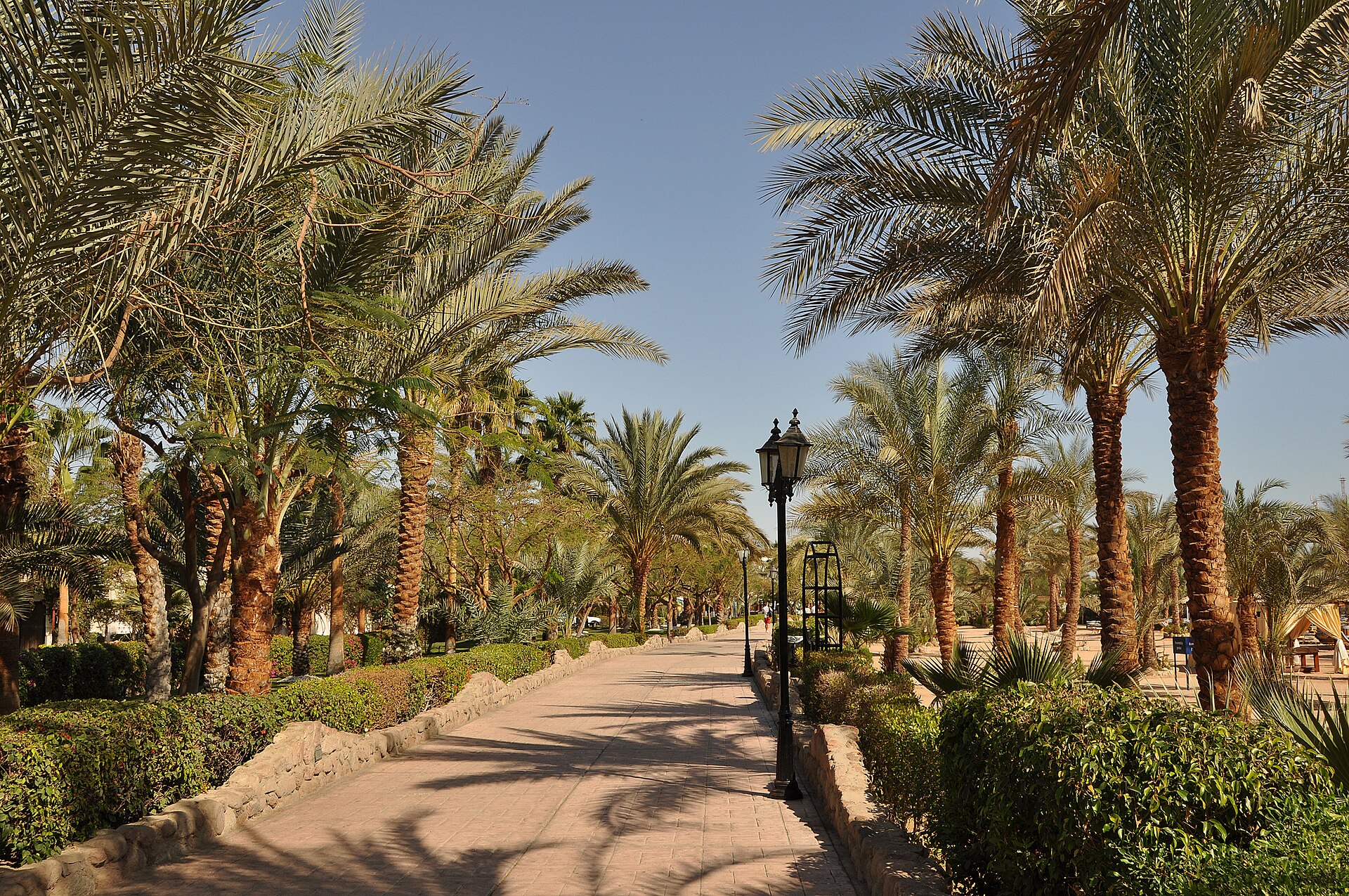 Sharm El Sheikh Tours