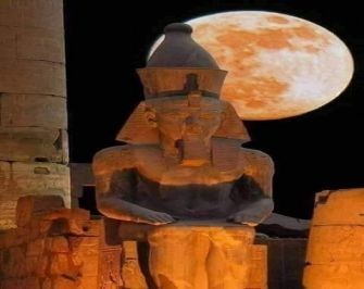 10 day Egypt Itinerary Cairo and Nile cruise on Royal Princess — photo 26