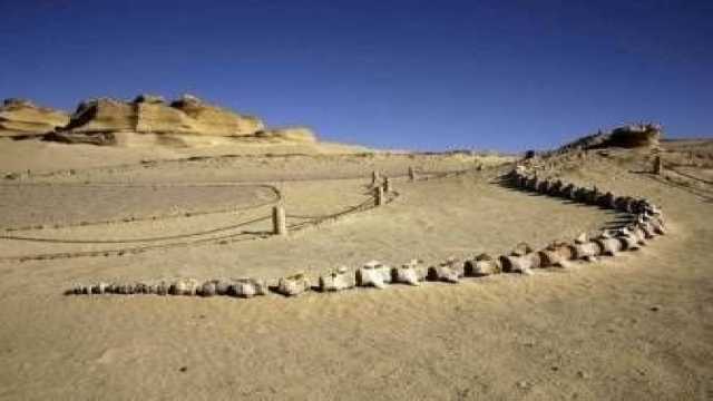 10 day tour package from Marsa Alam — photo 4