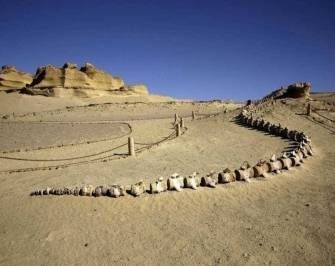 10 day tour package from Sahel Hashesh — photo 3