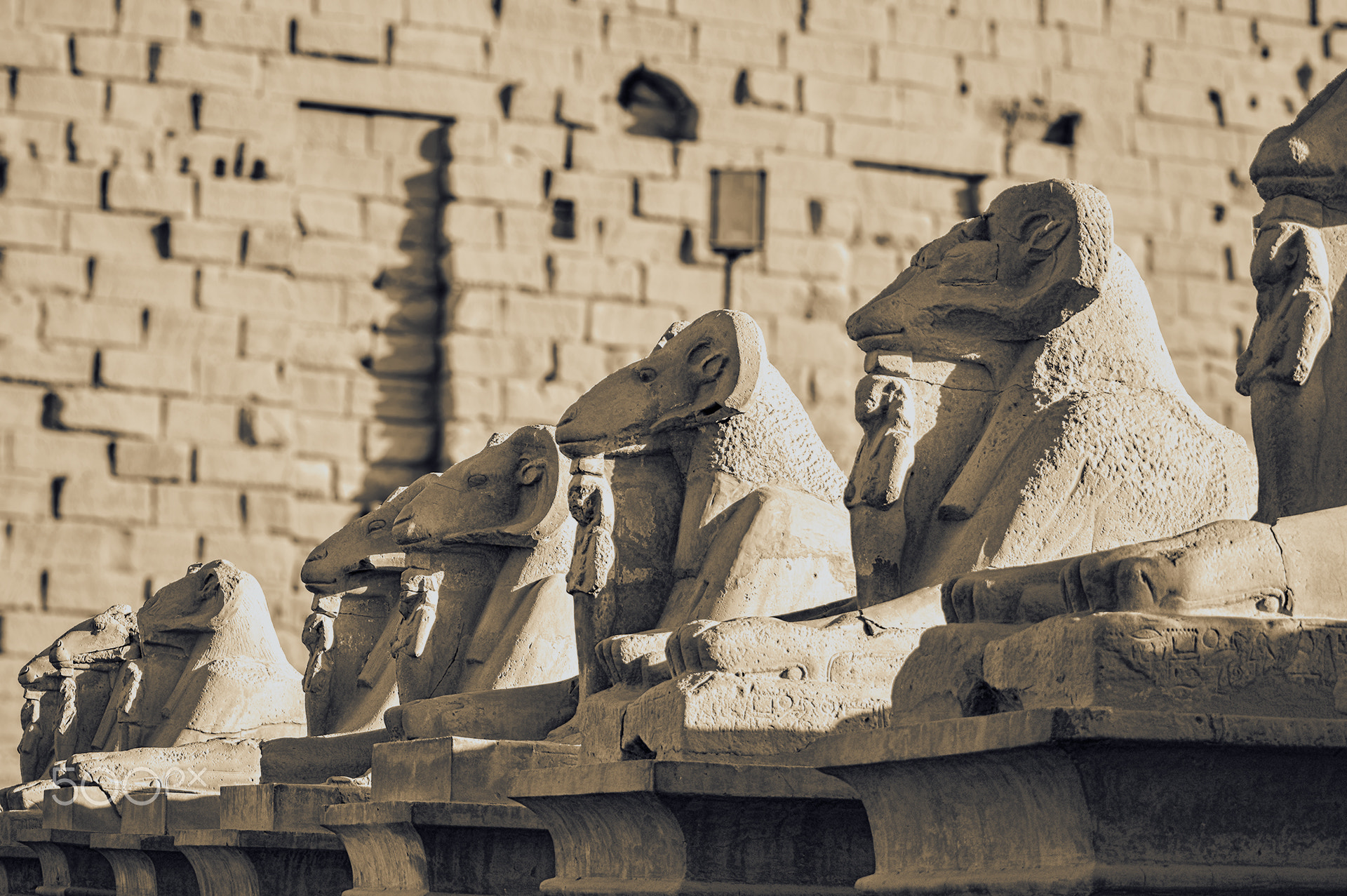 10 days egypt nile cruise white desert adventure — photo 2
