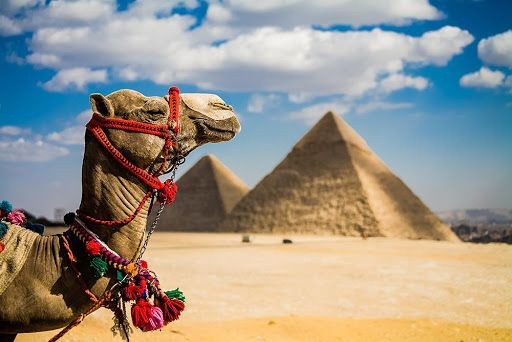 11 days Egypt Itinerary Cairo Aswan Luxor and Marsa Alam — photo 5