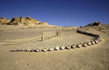 2 Day Camping trip from Fayoum — photo 2