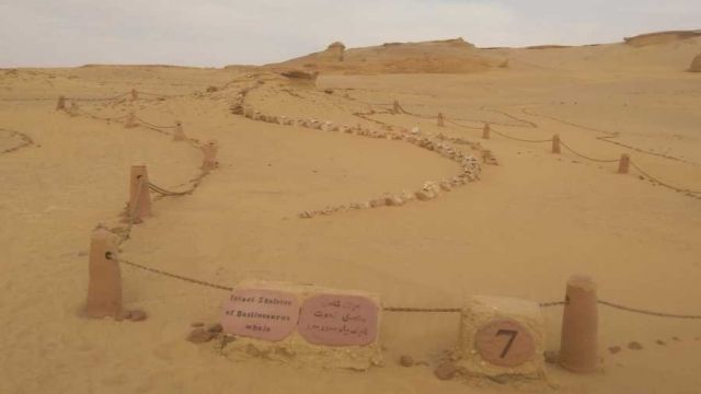 2 Day Camping trip from Fayoum — photo 5