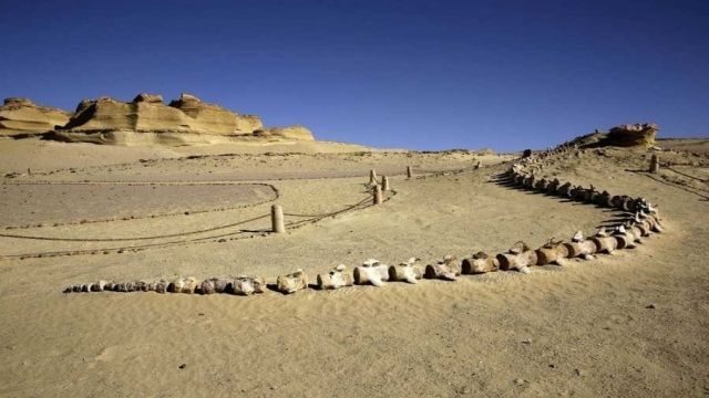 2 Day Camping trip from Fayoum — photo 6
