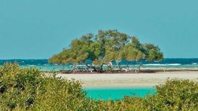 2 day itinerary Marsa Alam from Sahel Hashesh — photo 7