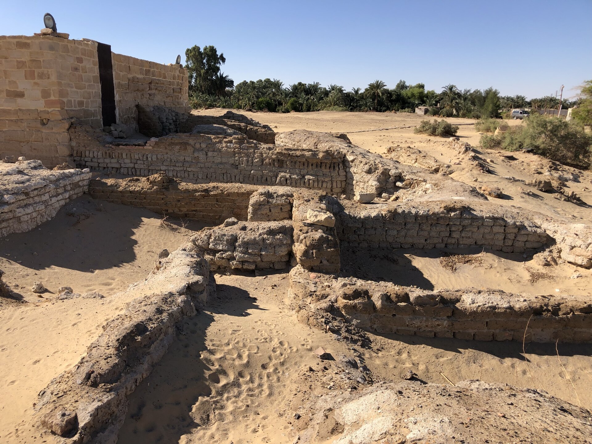 2 Day trip Fayoum oasis and Wadi el Hitan from Hurghada