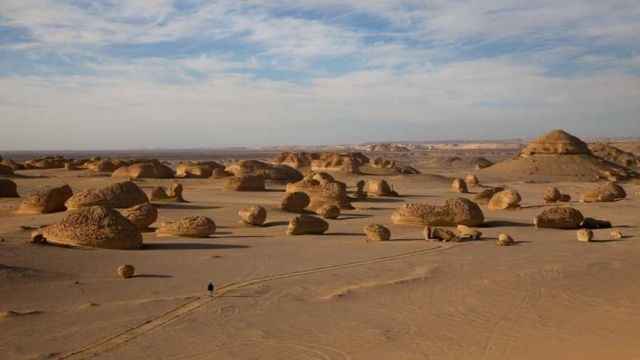 2 Day trip Fayoum oasis and Wadi el Hitan from Sahel Hashesh — photo 5