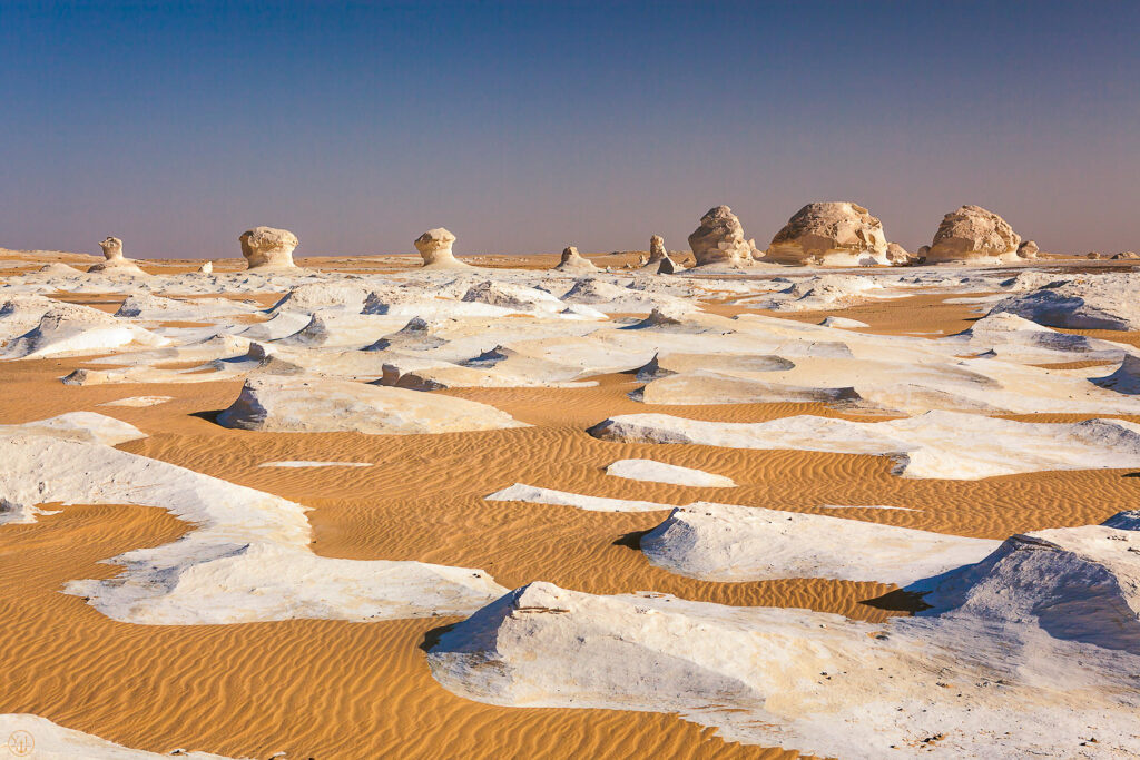 2 day trip to the white desert and wadi el Hitan from Cairo