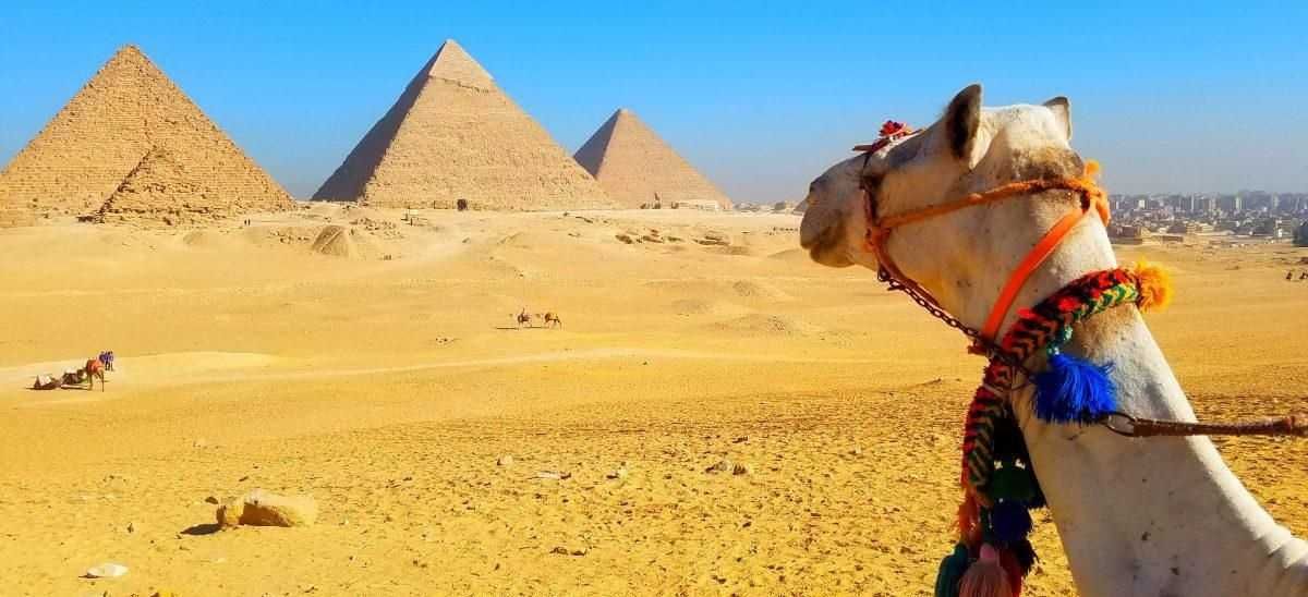 2 Days trip to Cairo and Luxor from Alexandria Port