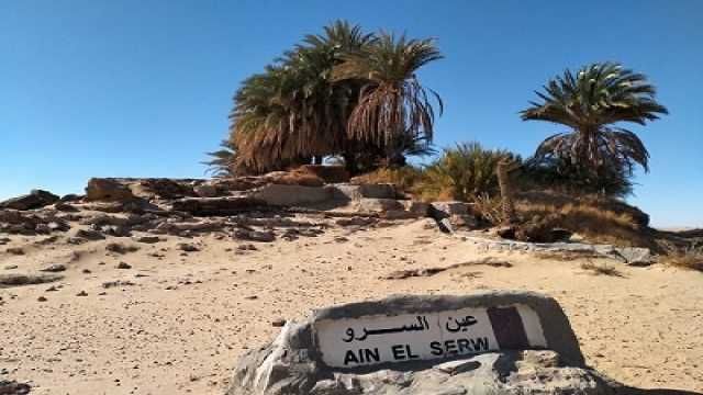 2 Nights Camping in the white desert from Cairo — photo 7