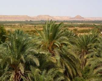 3 Day trip to Bahariya Oasis and white desert from Cairo — photo 2