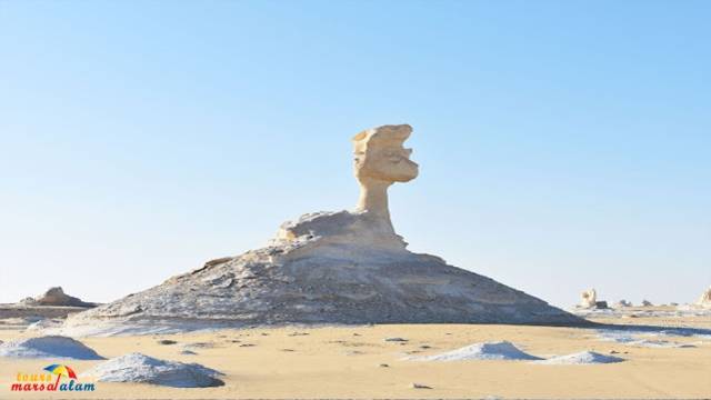 3 Day trip to Bahariya Oasis and white desert from Cairo — photo 4
