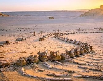 3 Day Trip to Fayoum oasis from Cairo