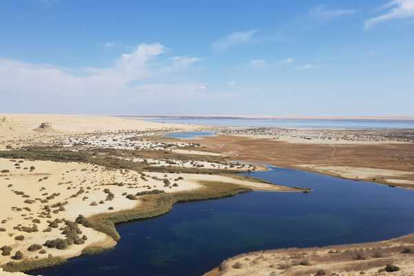 3 Day Trip to Fayoum oasis from Cairo — photo 10