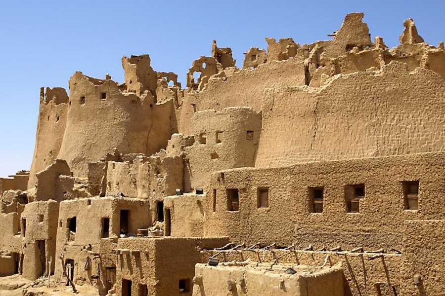 3 Day Trip to Siwa Oasis and Alexandria from Cairo — photo 2