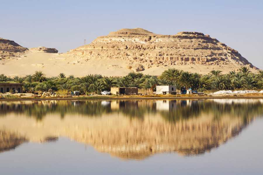 3 Day Trip to Siwa Oasis and Alexandria from Cairo — photo 8