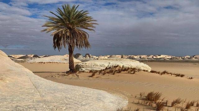 3 Day trip to the white desert and Djara Cave from Alexandria — photo 4