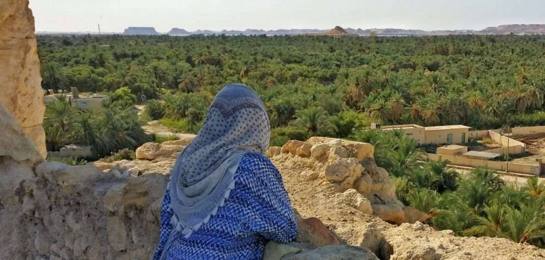 3 days tour Package to siwa oasis from Cairo — photo 4