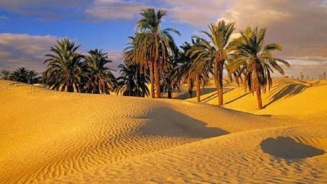 3 Days trip to Cairo and Luxor from Sahel Hashesh — photo 4