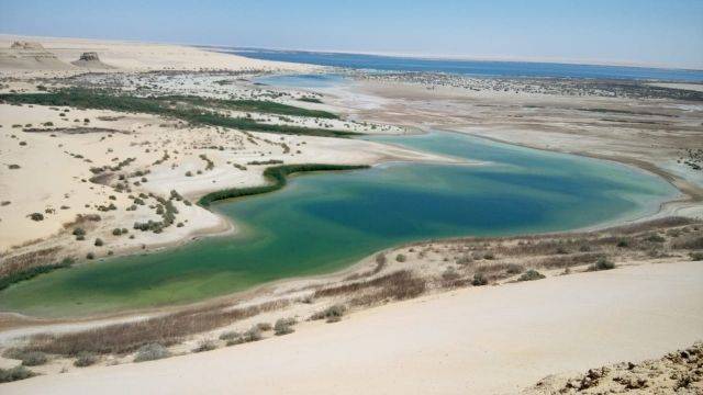 3 days trip White desert and wadi el Hitan from Cairo — photo 11