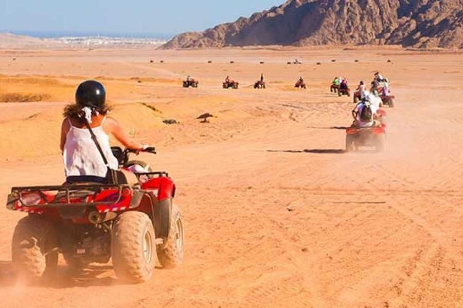 3 Hour Desert Quad Bike in Hurghada Desert — photo 2