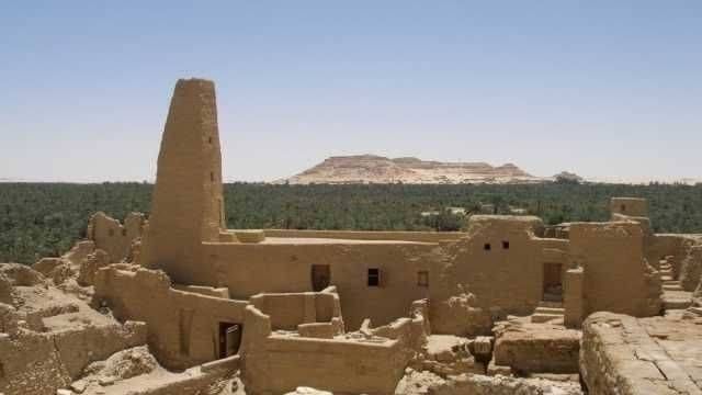 4 day tour Package Cairo and siwa oasis from Hurghada — photo 4