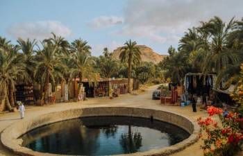 4 Day trip to Alexandria and Siwa oasis from Cairo — photo 5