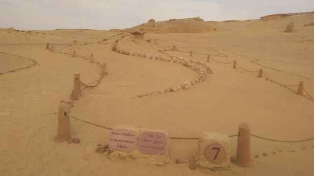 4 Day Trip Wadi el Hitan and the white desert from Alexandria — photo 11