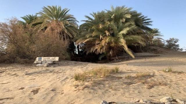 4 days tour to the white desert with Djara Cave and Bahariya oasis from Cairo — photo 9