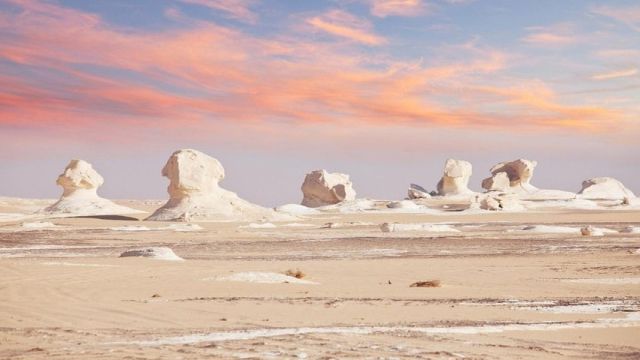 4 Days trip to the white desert and wadi el Hitan — photo 4