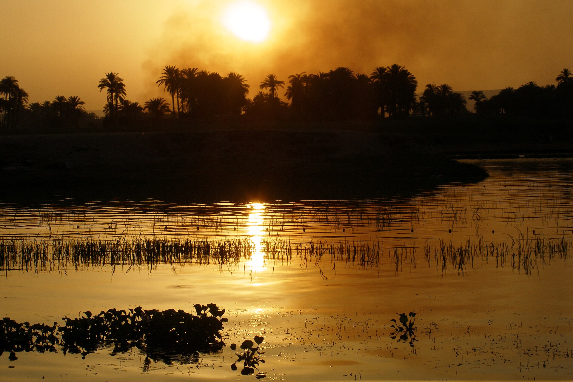 8 Days Tour Package Cairo with Nile Cruise and Alexandria