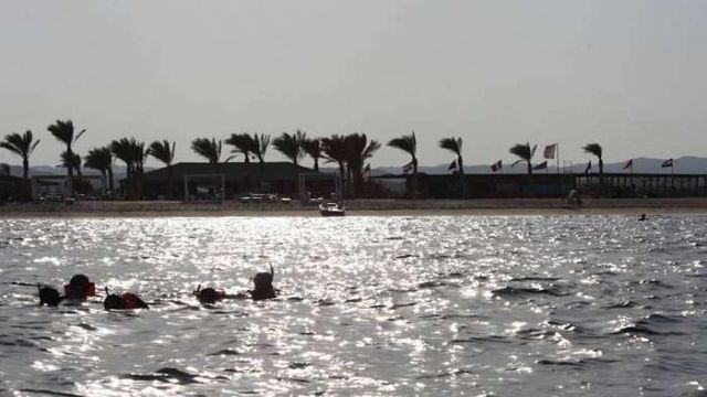 Abu Dabbab Dugong bay Snorkeling tour from Marsa Alam — photo 6