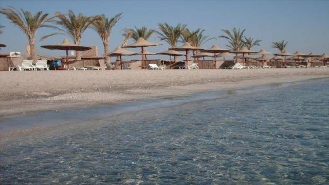 Abu Dabbab Dugong Snorkelling Trip from Sahel Hashesh โ photo 3