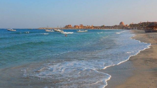 Abu Dabbab Dugong Snorkelling Trip from Sahel Hashesh โ photo 6