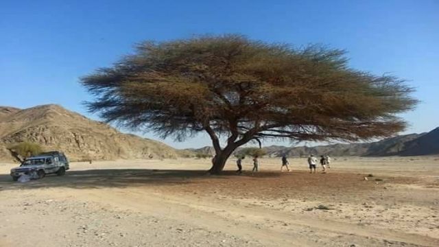 Aladin Safari Excursions from Marsa Alam — photo 2