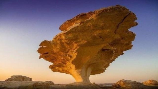 Cairo Airport Transfers To Bahariya