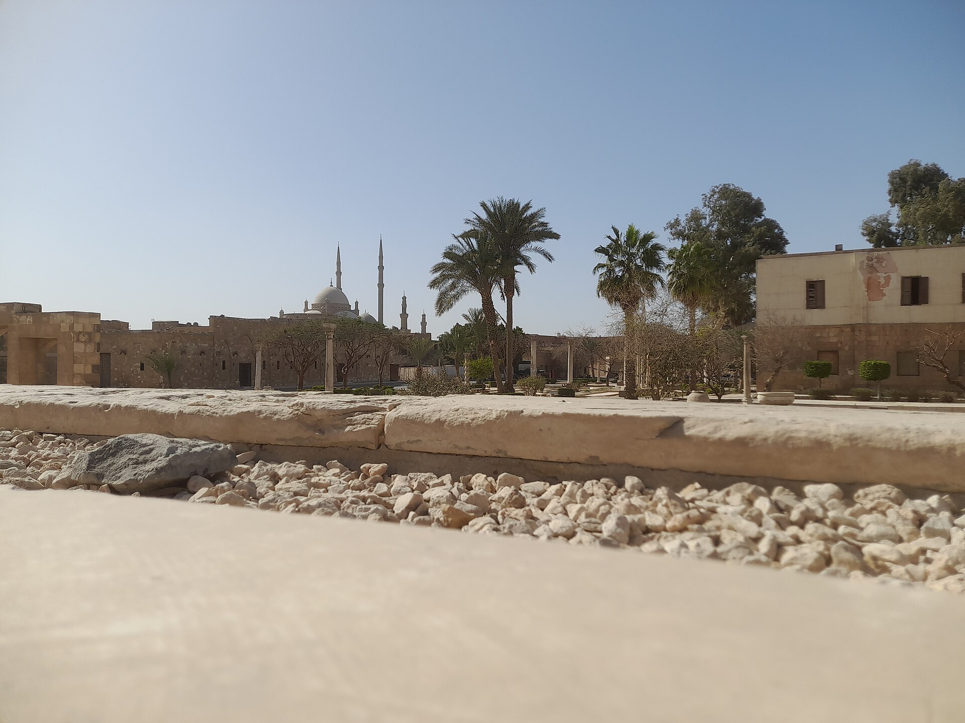 Transfer image 6