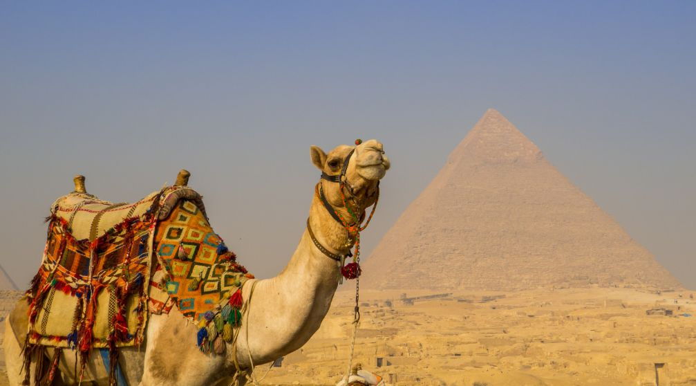 Cairo Day Tour From Soma Bay — photo 13
