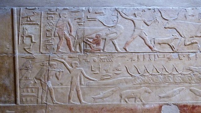 Cairo Day Tour to Memphis Sakkara and Dahshur Pyramids — photo 2