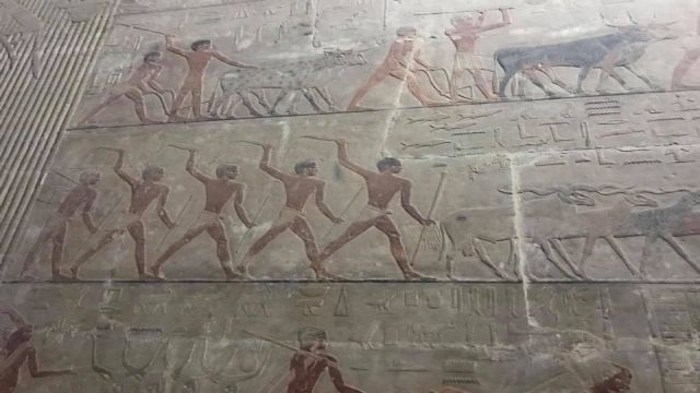 Cairo Day Tour to Memphis Sakkara and Dahshur Pyramids — photo 6