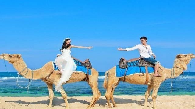 camel riding marsa alam day tour
