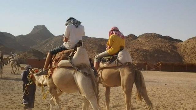 camel riding marsa alam day tour — photo 5