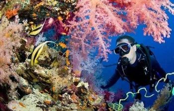 day scuba diving El Gouna Egypt Red Sea