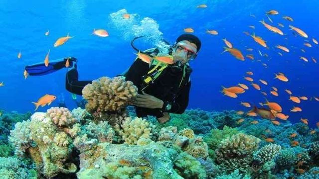 day scuba diving Makadi Egypt Red Sea — photo 2