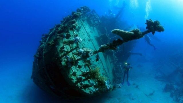 day scuba diving Makadi Egypt Red Sea — photo 6