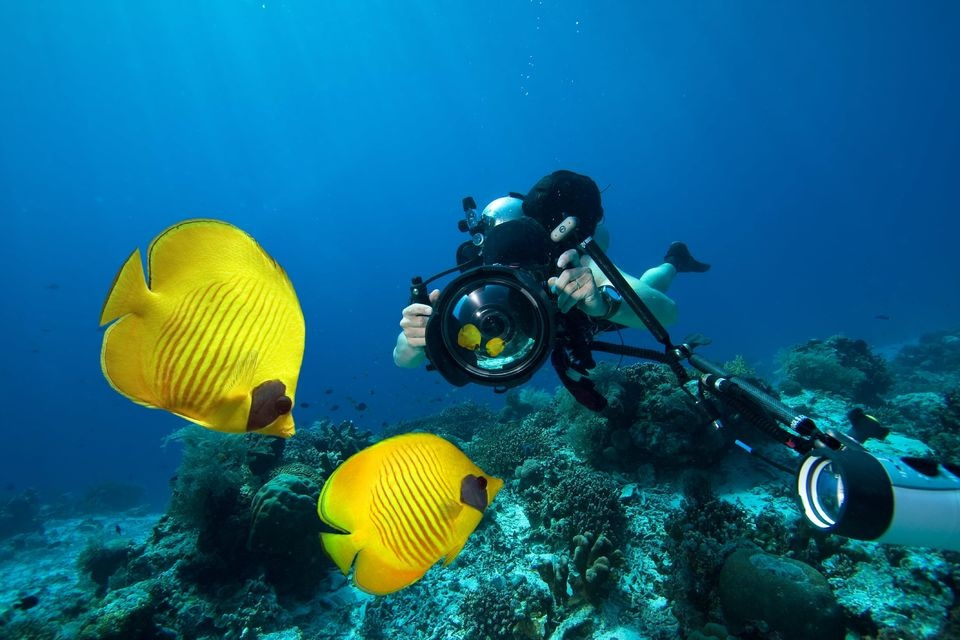 Day Scuba Diving Tour From Sharm EL Sheikh Port — photo 3
