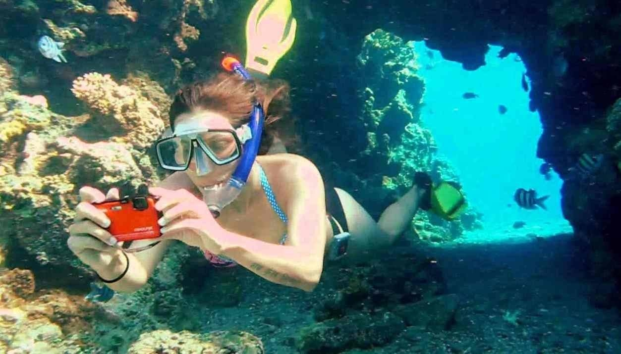Day Scuba Diving Tour From Sharm EL Sheikh Port — photo 5